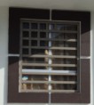 /album/protectores-contemporaneos/htreu-jpg/